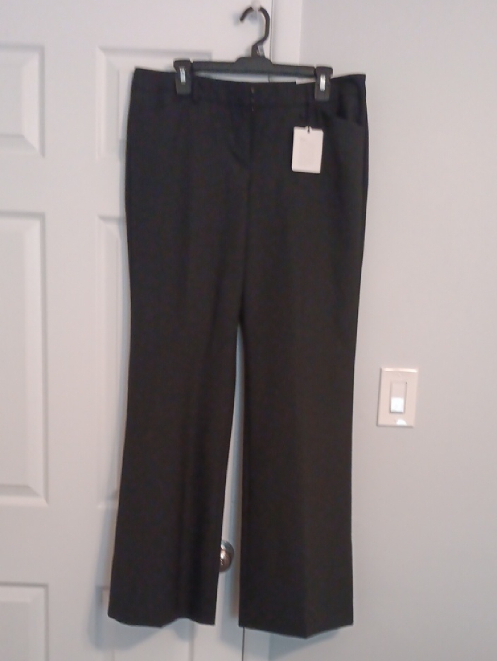 NWT Express Women's The Editor Low Rise Flare Leg 12 Long Pants
